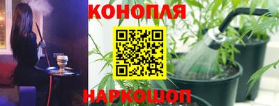 прущие крисы Керчь