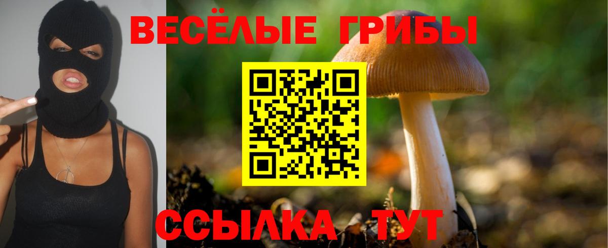Псилоцибиновые грибы Cubensis Ставрополь